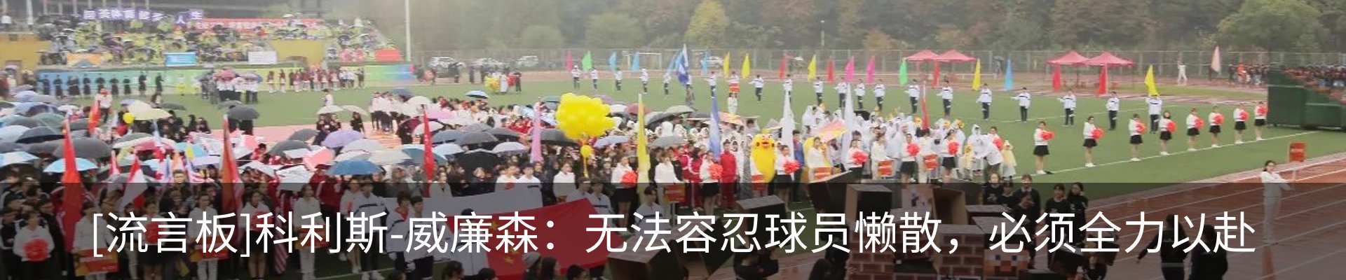 最新动态